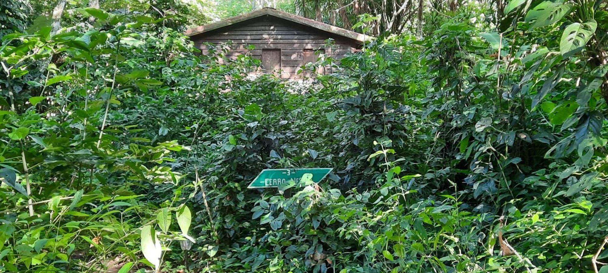 Mombacho Lodge Гранада Екстериор снимка