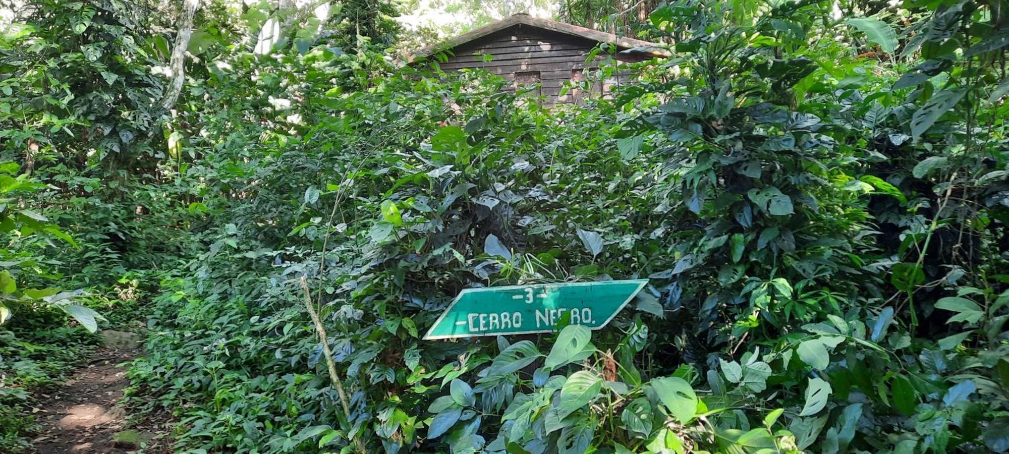 Mombacho Lodge Гранада Екстериор снимка